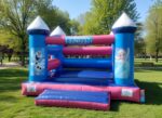Frozen Theme Jumping Castle for hire