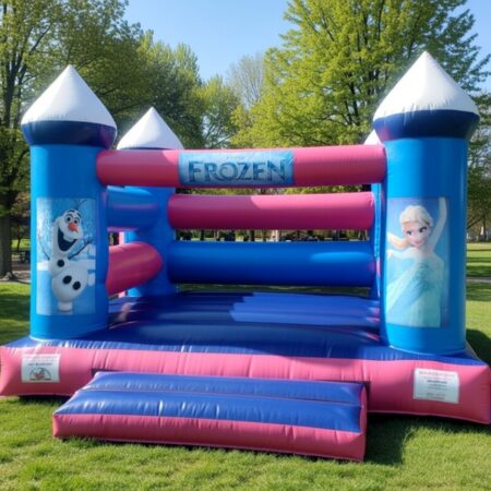 Frozen Theme Jumping Castle for hire