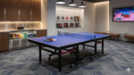 Professional Foldable Table Tennis Table