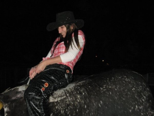 Mechanical Rodeo bull For Hire