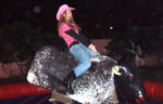 Mechanical Rodeo bull For Hire