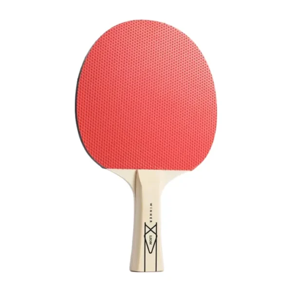 Table Tennis Table and Accessories For Sale