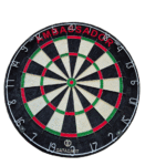 Datadart Ambassador Dartboard