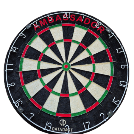 Datadart Ambassador Dartboard
